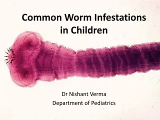 Overview of Common Worm Infestations in Children and Neglected Tropical Diseases (NTDs)