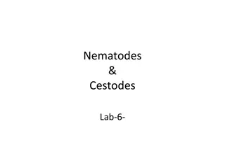 Parasitic Worms: Nematodes and Cestodes Overview