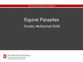 Equine Parasites: A Comprehensive Guide by Ohio State University Extension