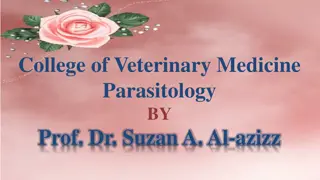 Understanding Parasitology in Veterinary Medicine by Prof. Dr. Suzan A. Al-azizz