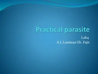 Understanding Parasitic and Non-Parasitic Materials in Feces Examination