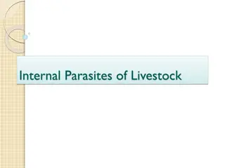 Understanding Internal Parasites of Livestock