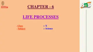 Life Processes: Criteria for Living Things and Basic Processes in Organisms