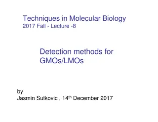 Detection Methods for GMOs and LMOs in Molecular Biology