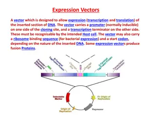 Expression Vectors in Molecular Biology