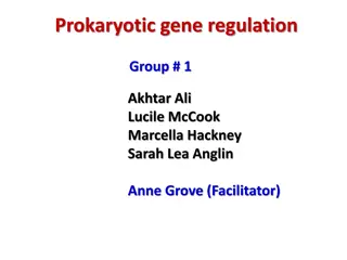 Prokaryotic Gene Regulation: A Teachable Unit