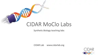 CIDAR MoClo Labs in Synthetic Biology Teaching