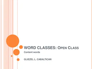 Understanding Word Classes and Noun Functions in Grammar