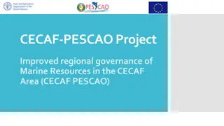 Enhancing Regional Governance of Marine Resources in the CECAF Area