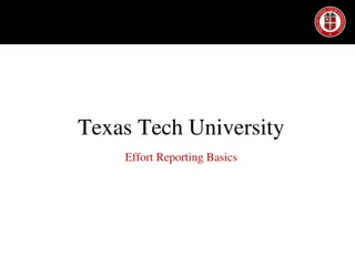 Texas Tech University Effort Reporting Basics