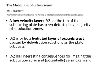 The Low Velocity Layer (LVZ) in Subduction Zones