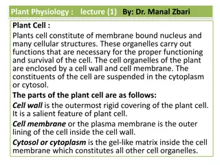 Plant Cell Physiology and Functions