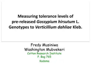 Tolerance Levels of Gossypium hirsutum L. Genotypes to Verticillium dahliae Kleb.