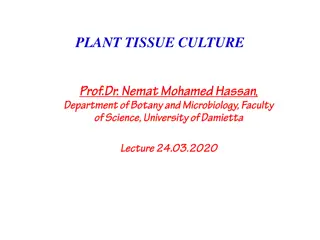 Plant Tissue Culture and Regeneration Pathways