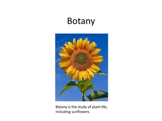 Overview of Botany: Study of Plant Life and Its Importance