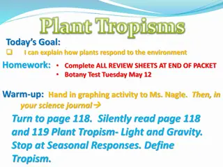 Understanding Plant Tropisms and Responses to the Environment