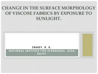 Changes in Viscose Fabric Surface Morphology Due to Sunlight Exposure