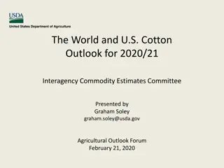 Global Cotton Outlook and Trends for 2020/21