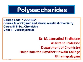 Polysaccharides: Structure and Function in Chemistry