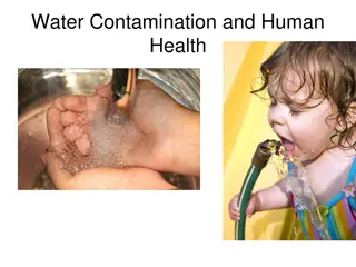 Water Contamination and Human Health: Causes, Types, and Examples