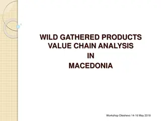 Wild Gathered Products Value Chain Analysis Workshop in Macedonia