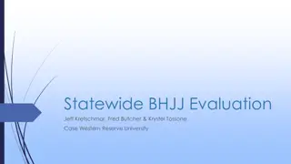 Statewide BHJJ Evaluation Demographics and Trends Analysis