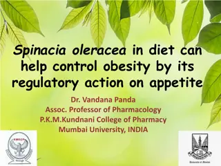 Spinach in Diet for Obesity Control: Regulatory Action on Appetite