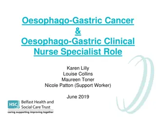 Comprehensive Overview of Oesophageal and Gastric Cancer: Roles and Statistics