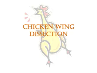 Chicken Wing Dissection and Observation Activity