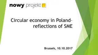 Circular Economy Initiatives in Poland's SME Sector