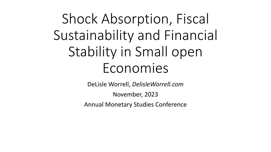 Shock Absorption and Fiscal Sustainability in Small Open Economies