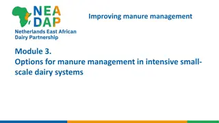 Options for Improved Manure Management in Small-Scale Dairy Systems