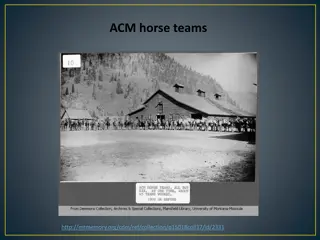 Vintage Horse Teams and Barns Collection