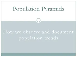 Population Pyramids for Analyzing Population Trends