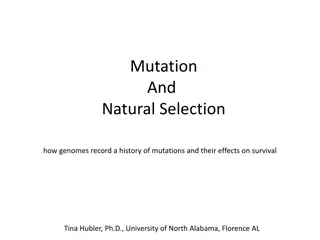 Understanding Mutations and Natural Selection in Genomes