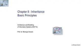 Basic Principles of Inheritance in Information Systems