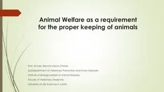 Understanding Animal Welfare and Good Condition for Proper Care