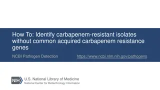 Comprehensive Guide to Identifying Carbapenem-Resistant Isolates Without Common Acquired Carbapenem Resistance Genes