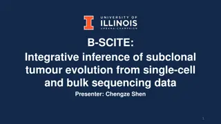 Integrative Inference of Tumor Evolution from Single-Cell and Bulk Sequencing Data