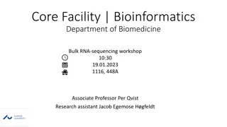 Bioinformatics Core Facility at Aarhus University: Services and Contact Details