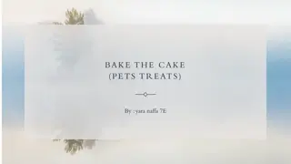 Bake the Cake - A Pet Bakery in Amman, Jordan