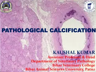 Pathological Calcification in Veterinary Pathology