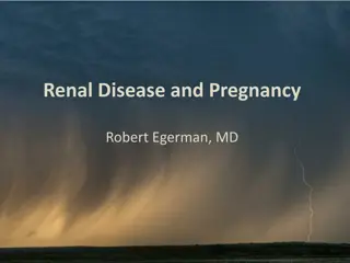 Renal Disease and Pregnancy: Key Points and Case Study Analysis