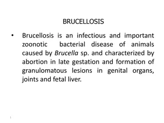 Brucellosis: Causes, Transmission, and Control