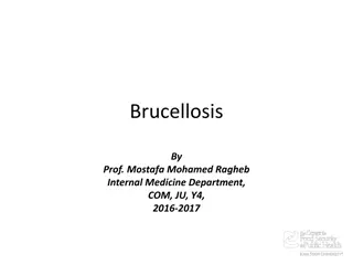 Understanding Brucellosis: Causes, Symptoms, Diagnosis, and Treatment