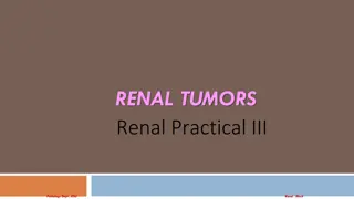 Overview of Renal Tumors: Benign and Malignant Forms