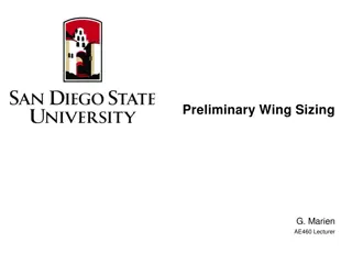 Preliminary Wing Sizing and Design Process Overview