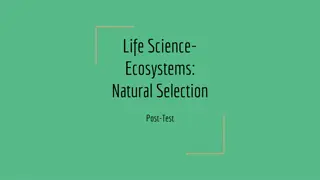 Natural Selection in Ecosystems: Post-Test Insights