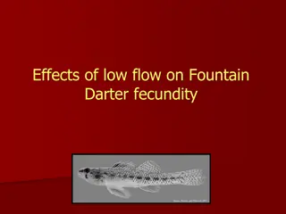 Investigating Impacts of Low Flow on Fountain Darter Reproduction