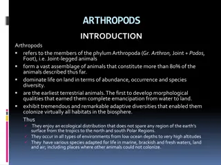 Fascinating World of Arthropods: Incredible Adaptations and Ecological Dominance